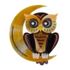 Erstwilder A Moon With View Owl Brooch* Brooches
