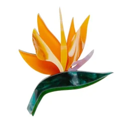 Erstwilder Birds Of A Feather Brooch* Brooches