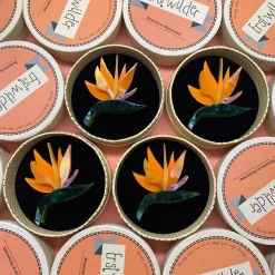 Erstwilder Birds Of A Feather Brooch* Brooches
