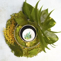 Erstwilder Botanical Abode Brooch* Brooches