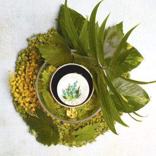 Erstwilder Botanical Abode Brooch* Brooches