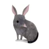 Erstwilder Bouncy Burrow Dweller Bilby Brooch* Brooches