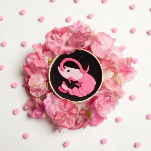 Erstwilder Brian B. Quaid Brooch* Brooches