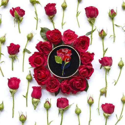 Erstwilder Budding Romance Rose Brooch* Brooches