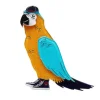 Erstwilder Corey The Macaw Brooch* Brooches