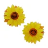 Erstwilder Follow The Sun Hair Clips Set - 2 Piece* Hair Clips & Claws