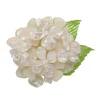 Erstwilder Heartfelt Hydrangea Brooch* Brooches