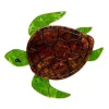 Erstwilder Michelle Sea Turtle Brooch* Brooches