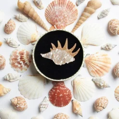 Erstwilder Mobile Home Shell Brooch* Brooches