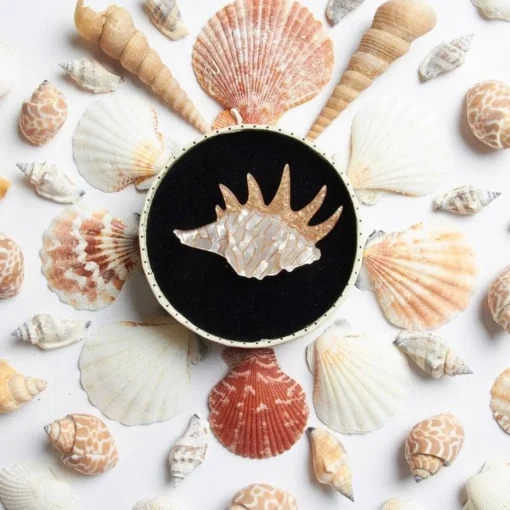 Erstwilder Mobile Home Shell Brooch* Brooches