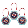 Erstwilder Modern Holiday Mystery Mini Brooch - 3 Pack* Brooches
