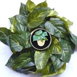 Erstwilder Show Me The Money Plant Brooch* Brooches