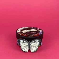 Erstwilder Social Butterfly Brooch* Brooches