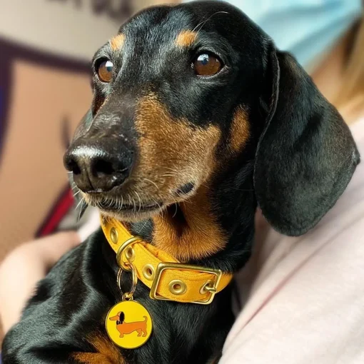 Erstwilder Spiffy The Sausage Dog Enamel Pet Charm* Enamel Key Rings