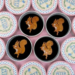 Erstwilder Squirrel Nutkin Brooch* Brooches