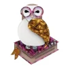 Erstwilder Studious Snow Owl Brooch* Brooches