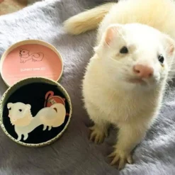 Erstwilder Sunny Smiles Ferret Brooch* Brooches